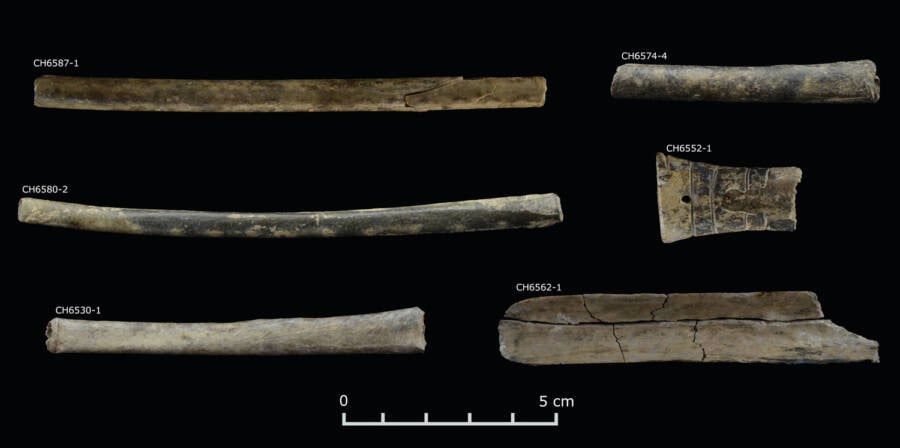 Bone Snuff Tubes