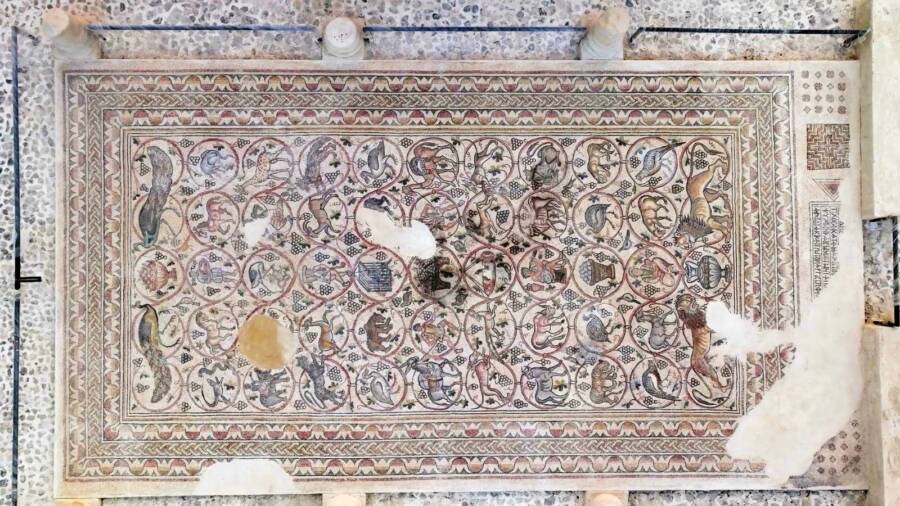 Negev Desert Byzantine Mosaic