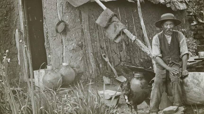 Chinese Miner At The Victoria Gold Fields