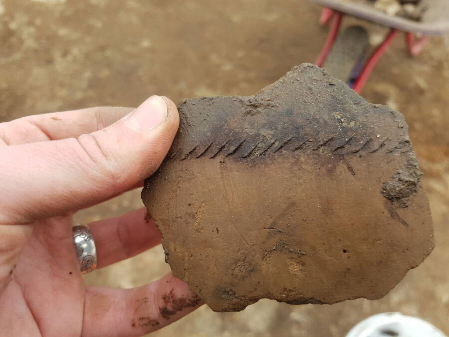 Decorated Pottery Fragment