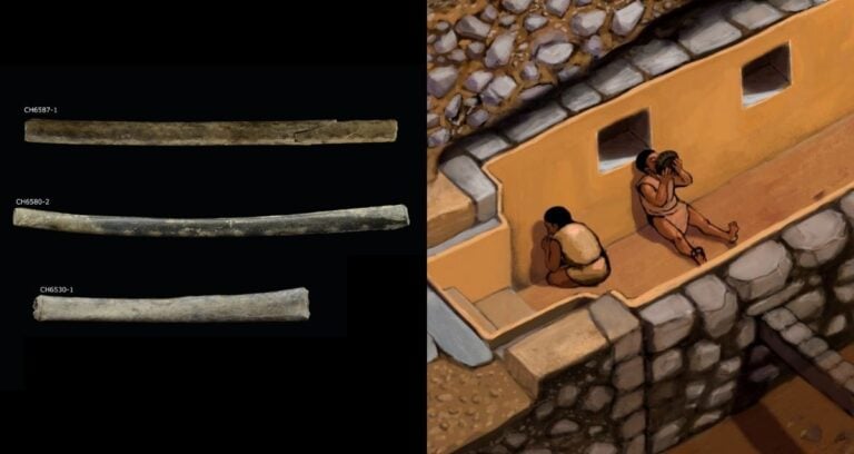 Drug Paraphernalia Alongside Chavin Chambers Featured