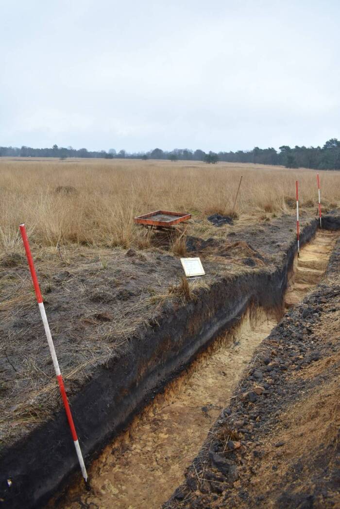 Hoog Buurlo Excavation Trench