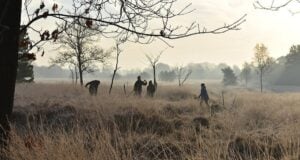Hoog Buurlo Roman Camp Featured