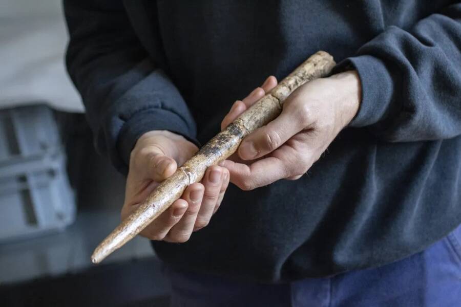 Oldest Whale Bone Tools