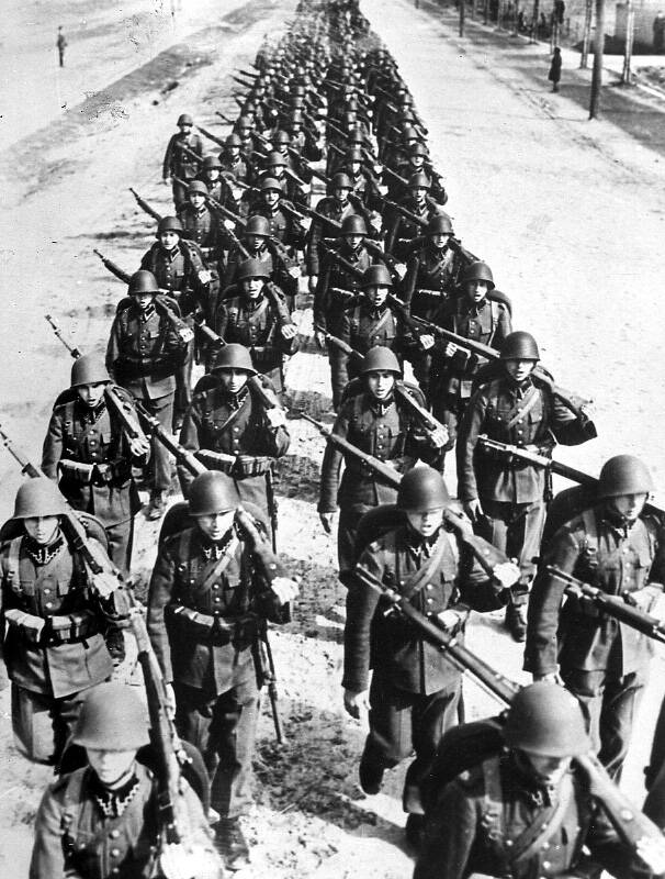 Polish Infantry