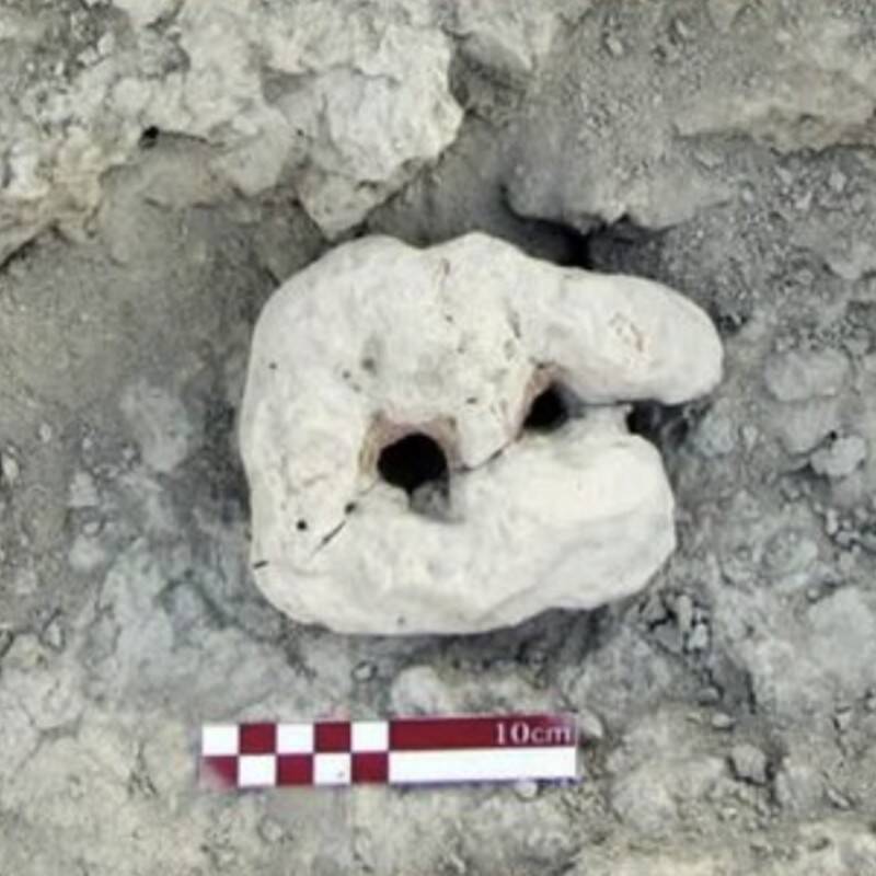 Prehistoric Fishing Tool