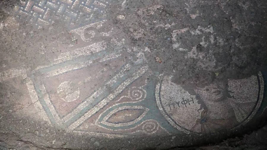 Roman Mosaic Illegally Excavated In Zile