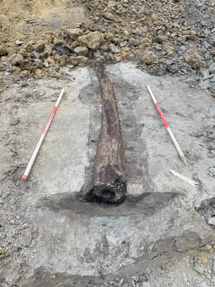 Roman Wooden Pipe