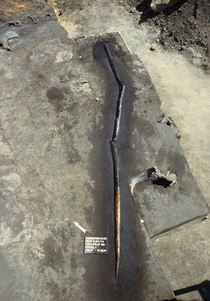 Schöningen Spear In Situ