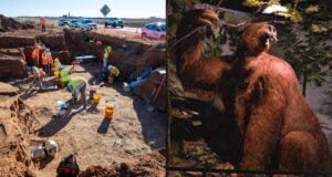 Texas Giant Ground Sloth Featured