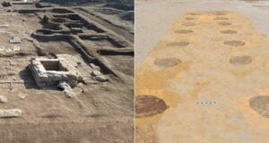 Tree Lined Walkway Sinai Fortress Featured