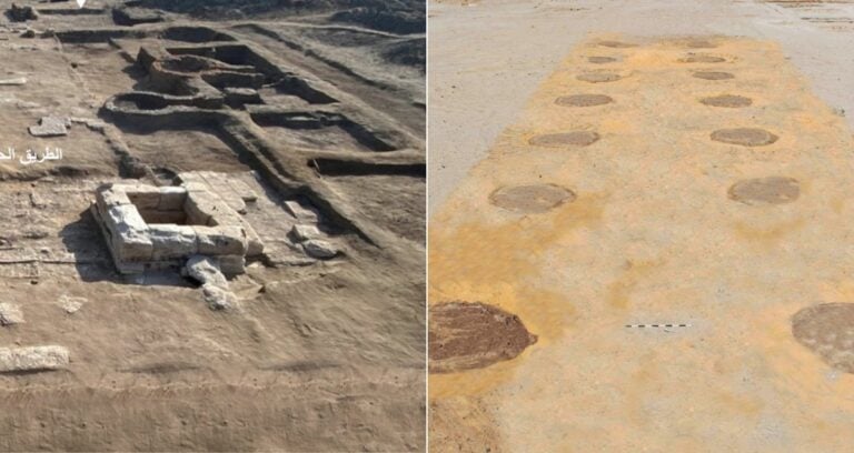 Tree Lined Walkway Sinai Fortress Featured