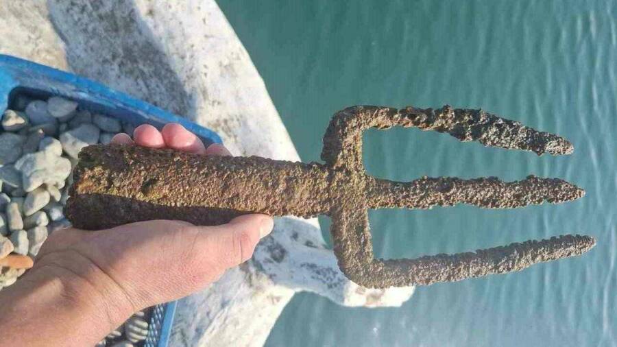 Trident Of Poseidon