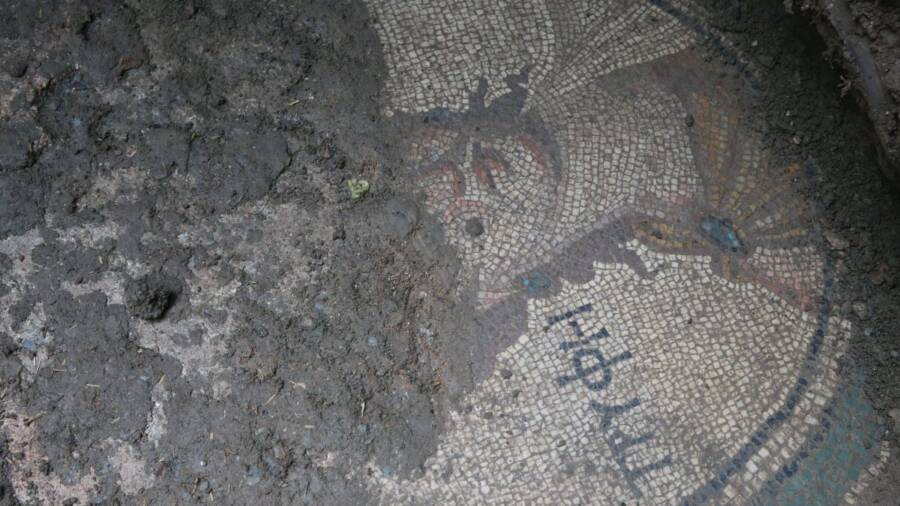 Tyrphe On Roman Mosaic