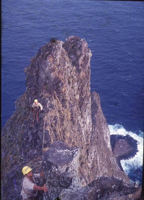 Ball's Pyramid, The Tallest Volcanic Sea Stack In The World