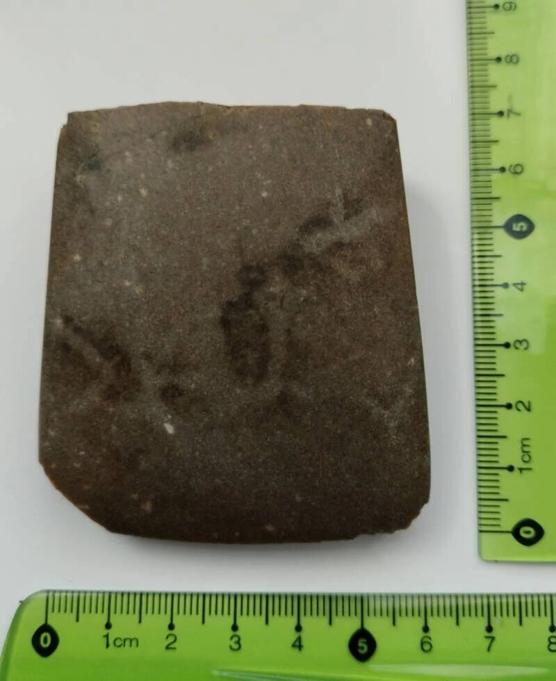 4500 Year Old Axe Fragment
