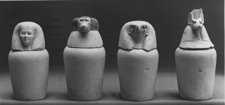 Animal Headed Canopic Jars