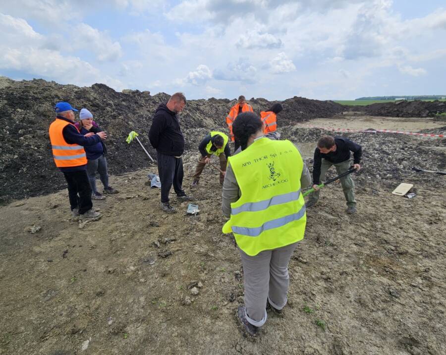 Archaeologists Excavating Mammoth Remains
