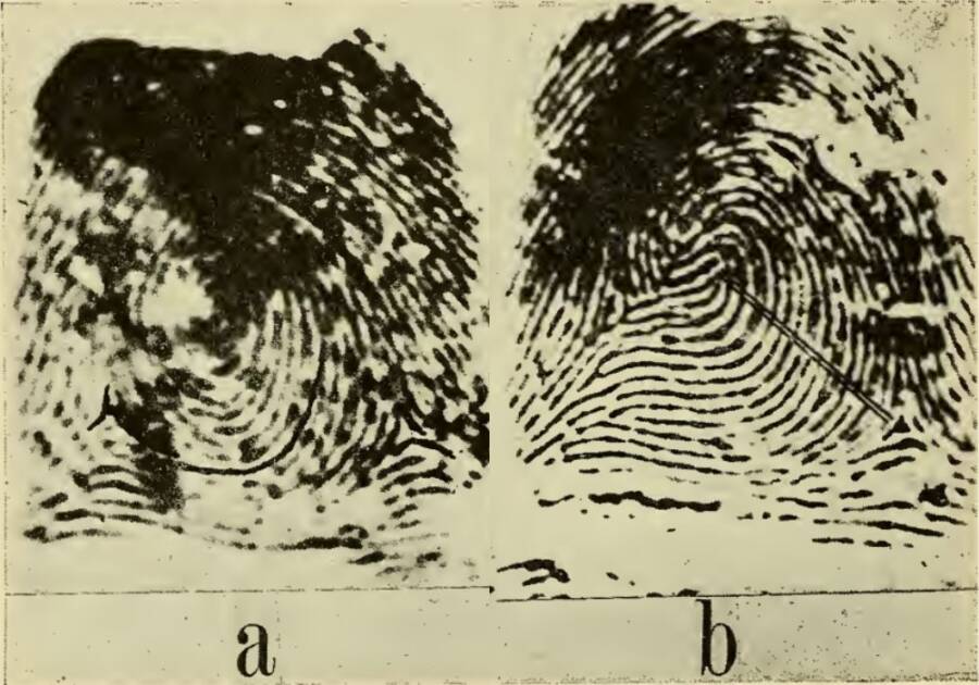 Fingerprints Of Will And William West