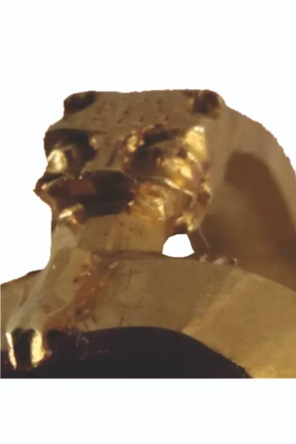 Ring Found At Pustý Hrad Castle