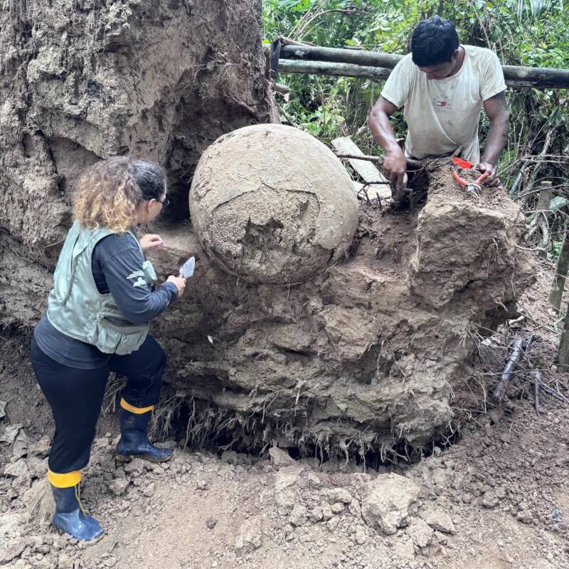 Locals Aiding In The Excavation