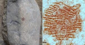 Oldest Human Fingerprint Featured