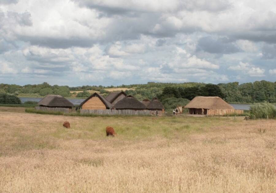 Reconstructed Viking Houses In Haithabu