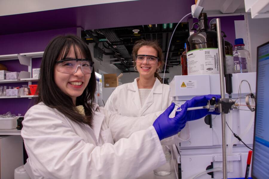 Aspergillus Flavus Cancer Researcher