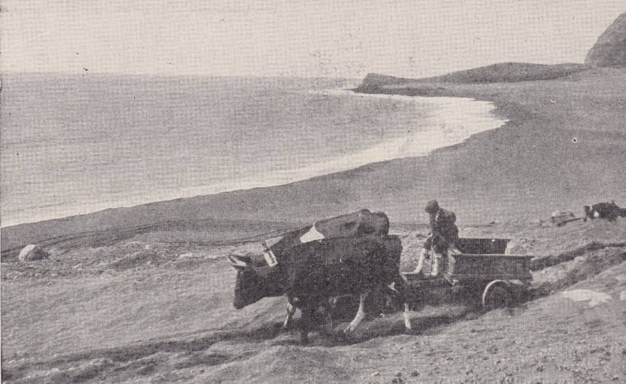 Residents Of Tristan Da Cuhna In The 1930s
