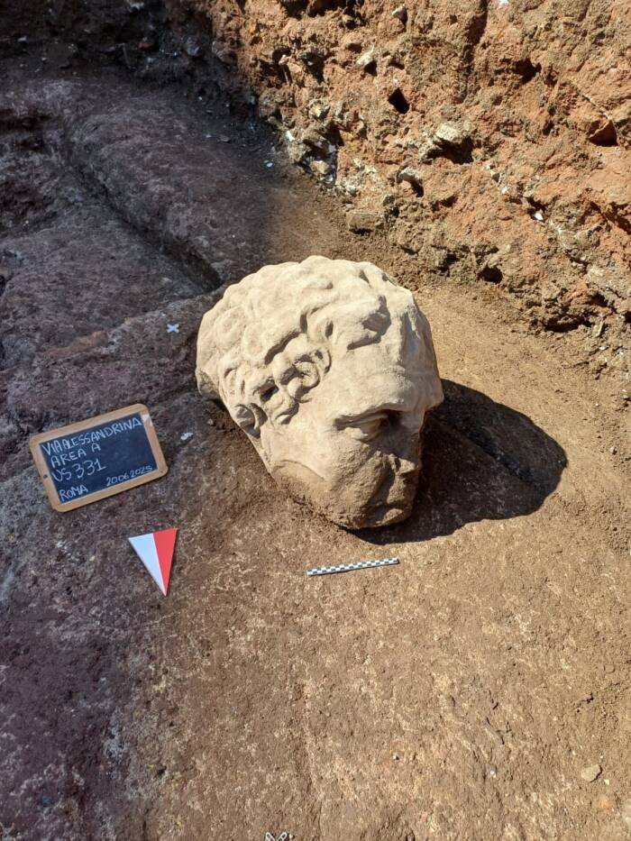 Roman Statue Head