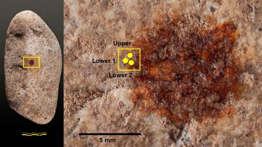 Neanderthal Fingerprint Found In Spain