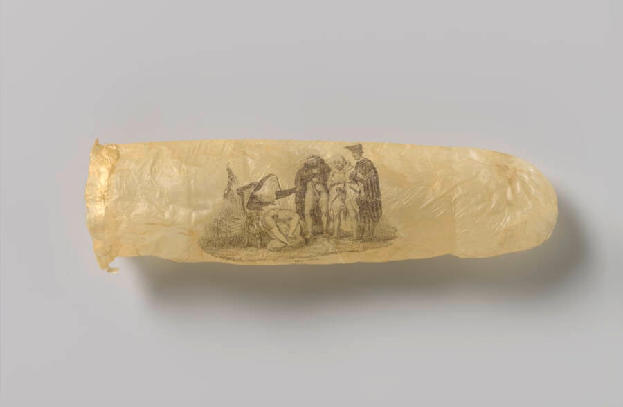 Sheep Appendix Condom