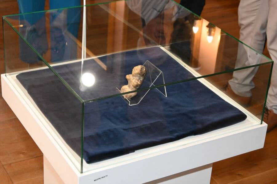 Venus Of Kołobrzeg On Display
