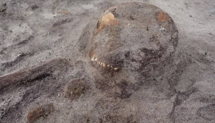 Senja Island Norway Viking Woman Dog Burial