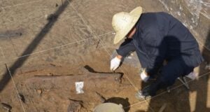 Archaeologist Excavating Wooden Tool Featured