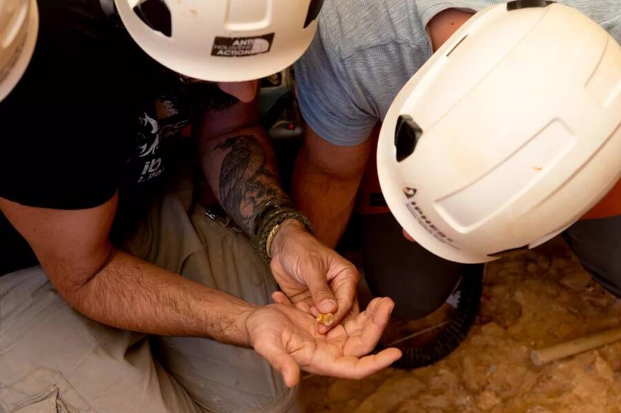 Homo Antecessor Cannibalism Uncovered In Spain