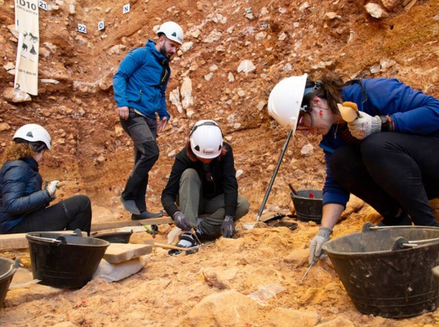 Archaeologists Excavating At Gran Dolina