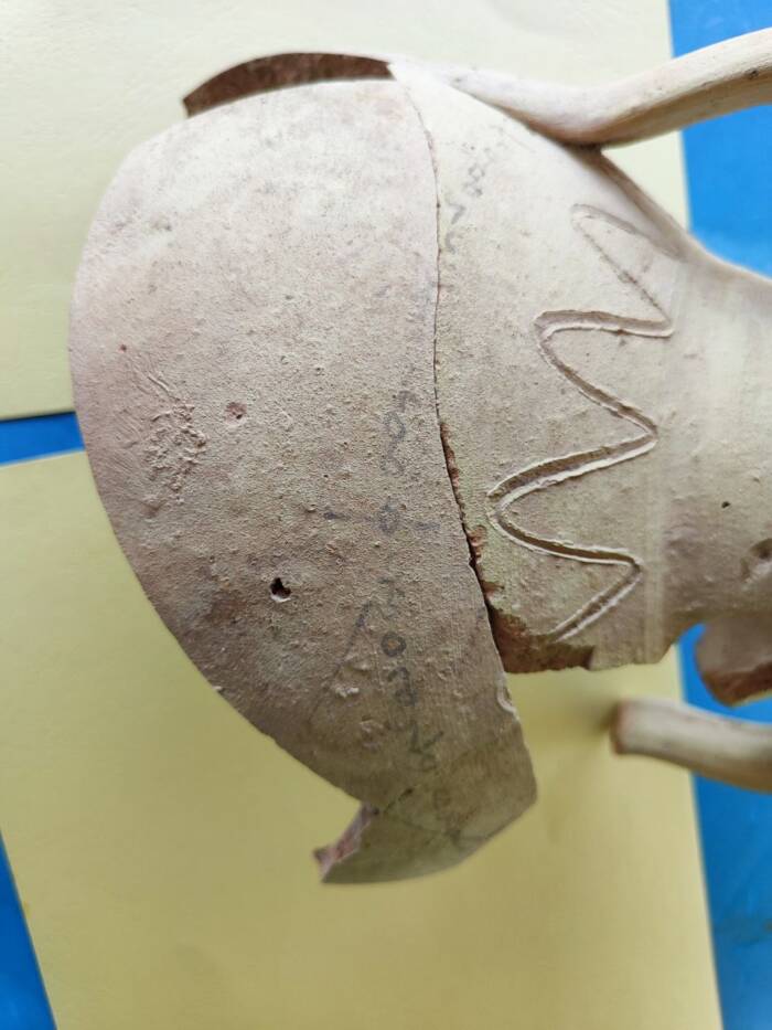 Bactrian Inscription On Water Jug