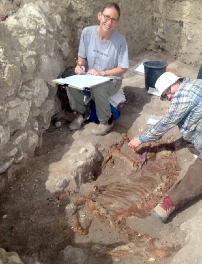 Bronze Age Canaanite Donkey Sacrifice