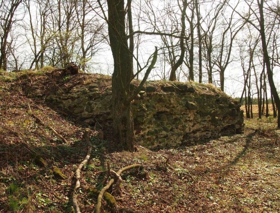 Castle Kolno Remains