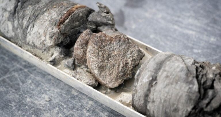 Core Containing Dinosaur Fossil Featured