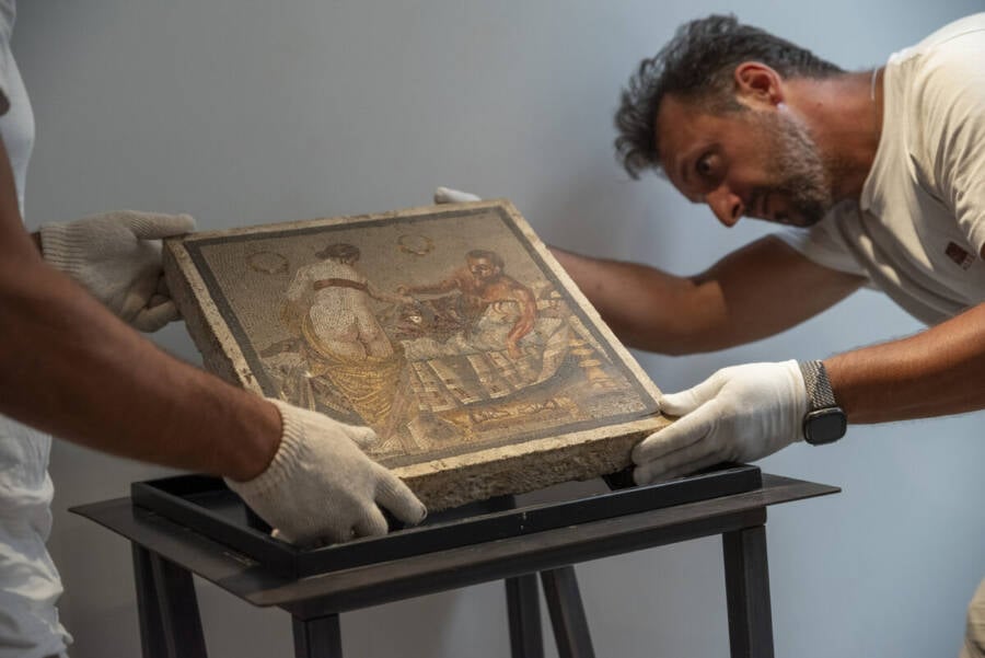 Examining The Pompeii Mosaic