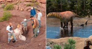 Fossil Excavation Alongside Astigmasaura Genuflexa Featured