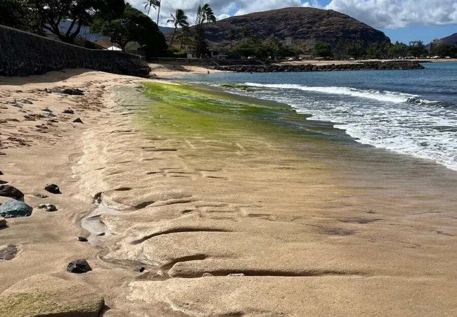 Hawaiian Petroglyphs At Waianae