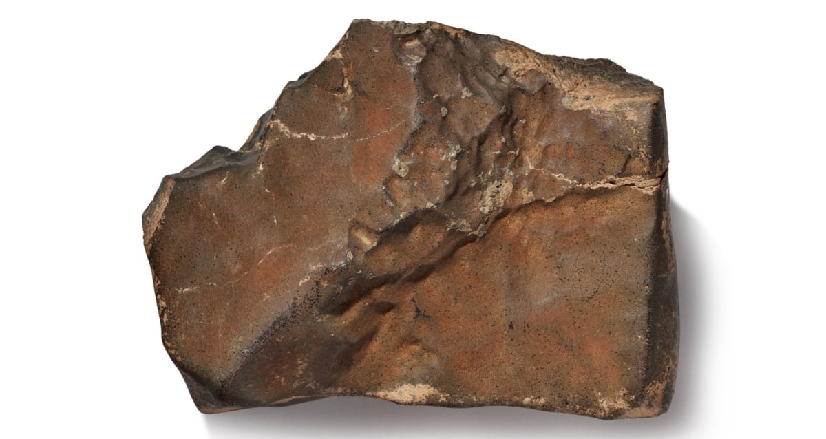 The Biggest Martian Meteorite Ever Found On Earth Is Set To Go On Auction