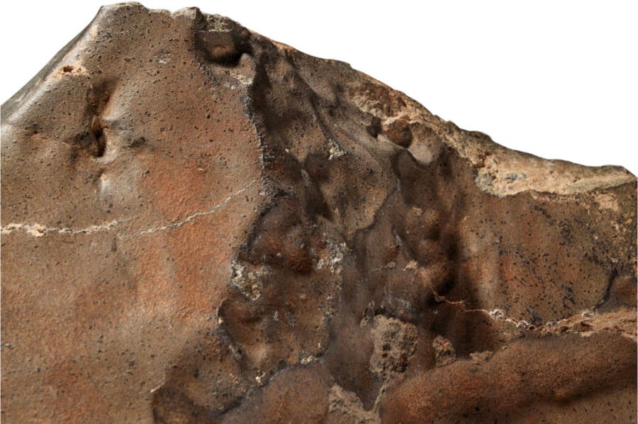 Largest Martian Meteorite