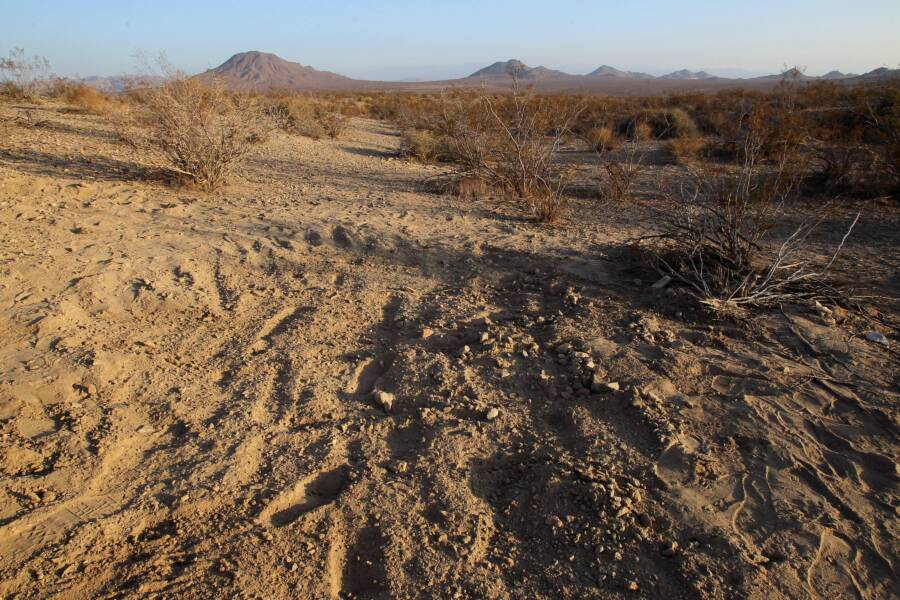 Mojave Desert Grave Site