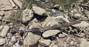 Medieval Sword Along Vistula River Featured