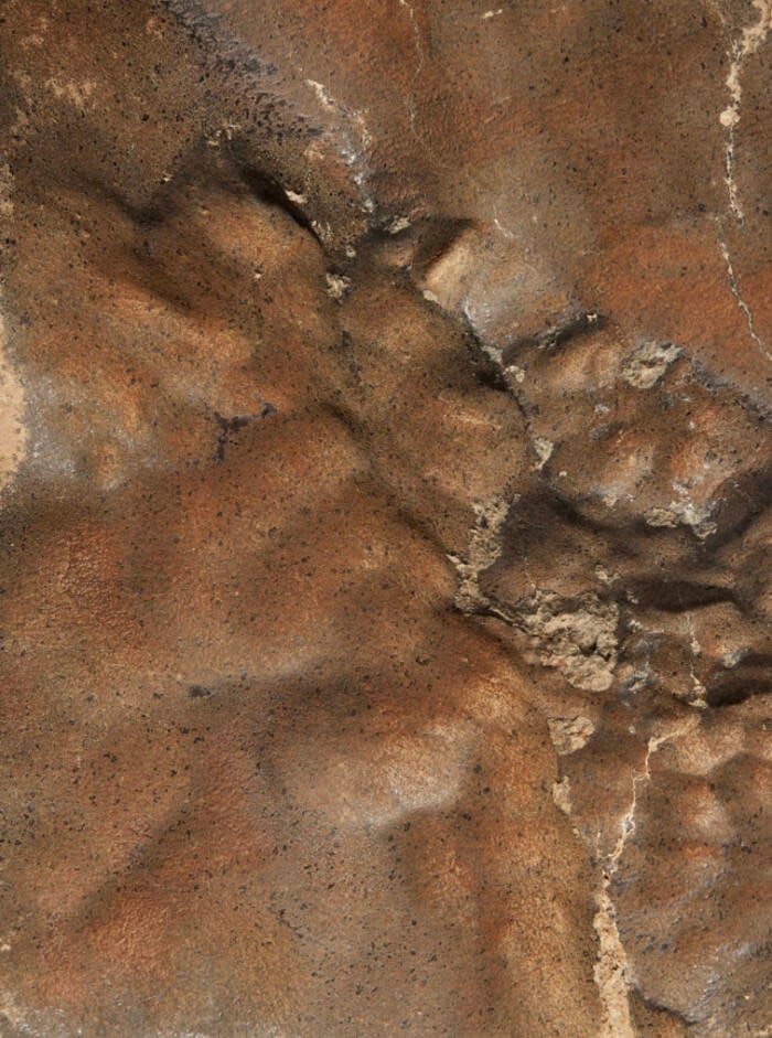 Meteorite Texture