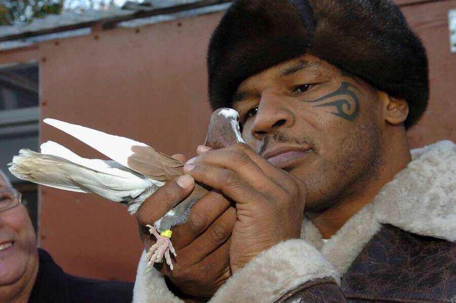 Mike Tyson Holding A Pigeon